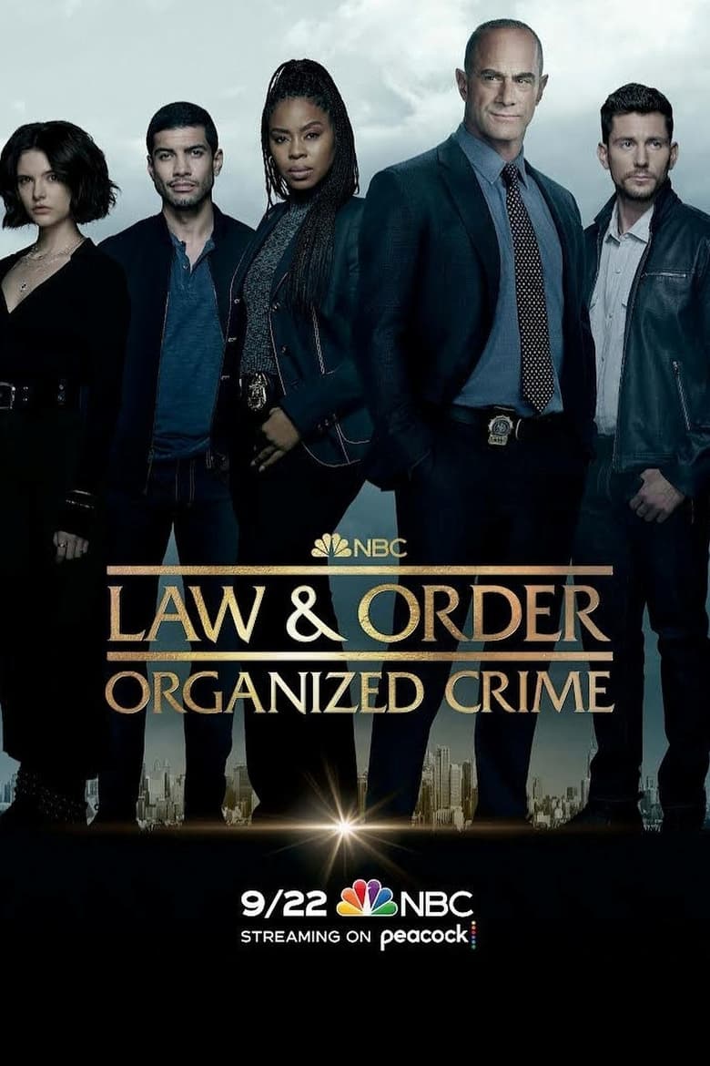法律与秩序：组织犯罪: 第 3 季