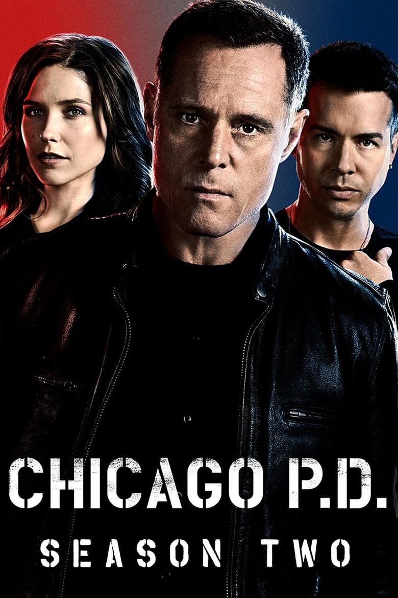 芝加哥警署: 第 2 季