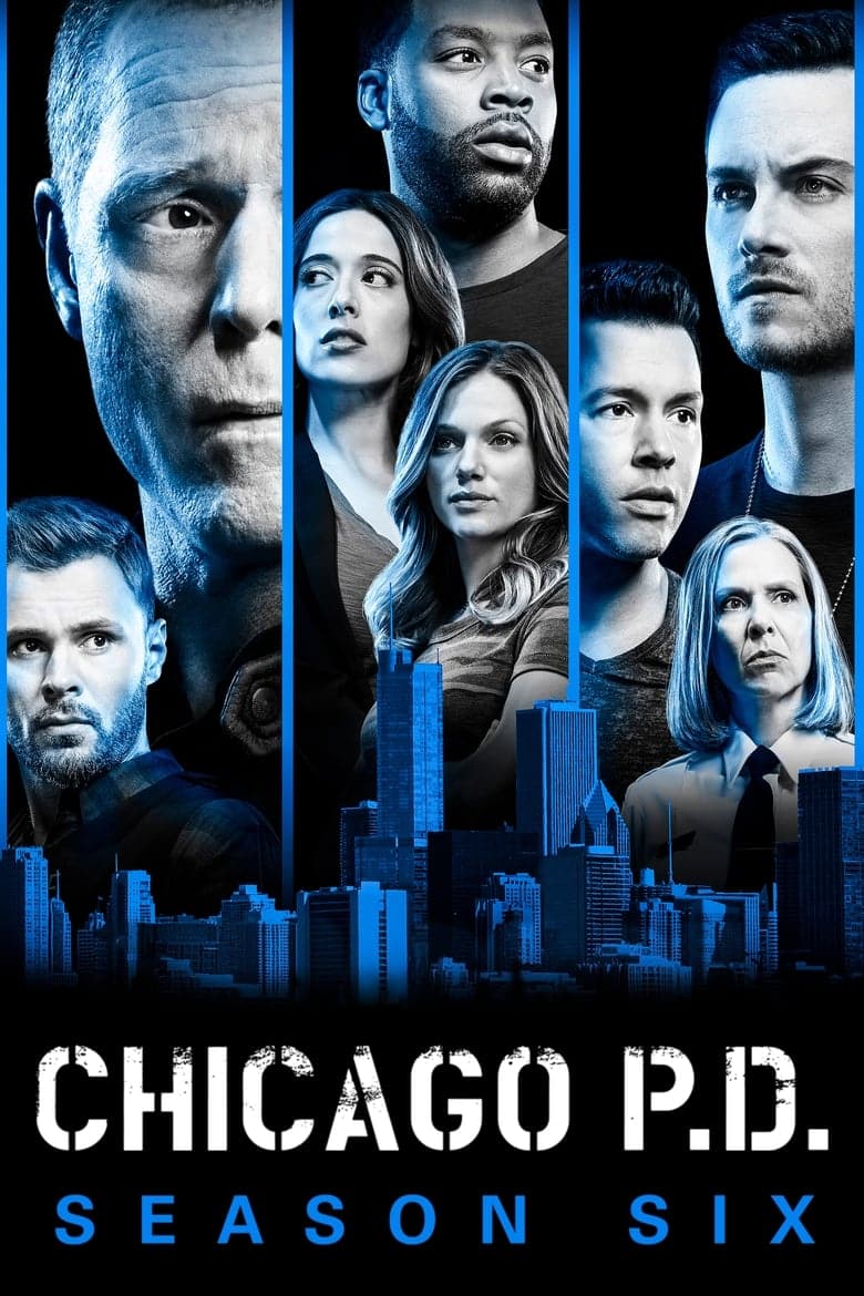芝加哥警署: 第 6 季